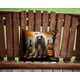 thumbnail image 2 of Almohada Decorativa Afghan Hound 14x14 Cm, 2 of 6