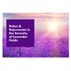 thumbnail image 2 of Recambios de aceite perfumado Arm & Hammer Plug en campos de lavanda, 2 of 7