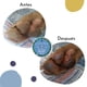 thumbnail image 2 of Balm Hidratante Karité Patas Y Nariz Perros Y Gatos, 2 of 3