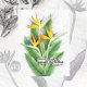 thumbnail image 1 of Troquel de Corte Metálico MCPOOX Flores 14,5x7,9 cm para Scrapbooking, 1 of 8