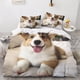 thumbnail image 2 of Juego De Cama Para Perros Con Ia Con Funda Nórdica Y Funda De Almohada Con Cremallera Invisible Juego De 3 Piezas Con Cremallera Y 2 Fundas De Almohada, 2 of 3