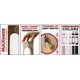 thumbnail image 4 of Lámpara Kosher Innovations 30 cm Rosa KosherLamp MAX, 4 of 4