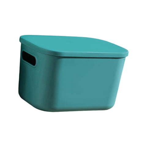 Bothyi - Caja De Almacenamiento Para El Hogar, Estante Organizador Para Armario, Contenedor Para Dormitorio, Sala De Estar, Artículos Diversos, 18X26X16Cm, Verde