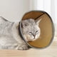 thumbnail image 3 of 1 Funda Transpirable Para La Cabeza De Verano Para Mascotas, Antilamidos, Para Gatos Y Perros, Reparación Postoperatoria, Antilamidos., 3 of 4