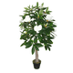 thumbnail image 2 of Arbol de Magnolio blanco de 130 cm, 2 of 2