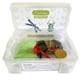 thumbnail image 1 of Box De Tin Marin - Dinosaurios, 1 of 2