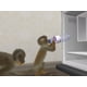 thumbnail image 3 of Videojuego Ubisoft Petz Crazy Monkeyz para Nintendo DS, 3 of 8