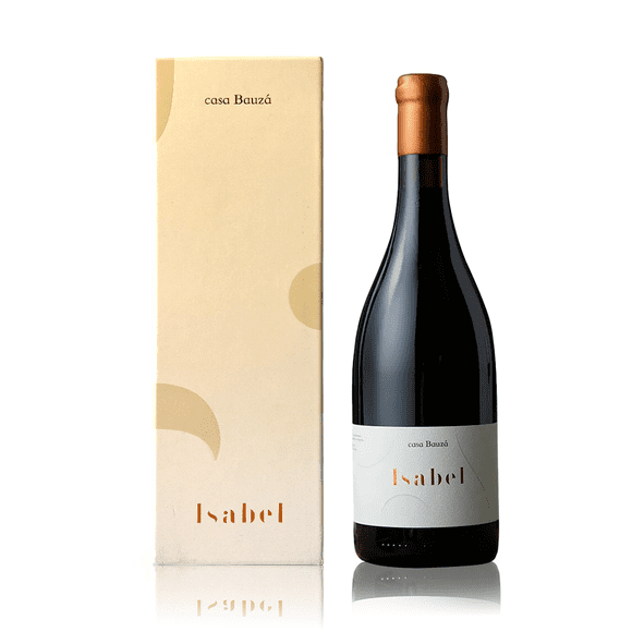 Vino Casa Bauza Isabel Icono Carmenere 750ml