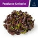 thumbnail image 2 of Lechuga Crespa Roja Bolsa, 1 Un, 2 of 2