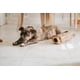 thumbnail image 5 of Juguete interactivo para perros ZippyPaws Burrow Woodland Friends, 5 of 9