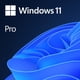 thumbnail image 1 of Software Microsoft Windows 11 Pro OEM System Builder, 1 of 6