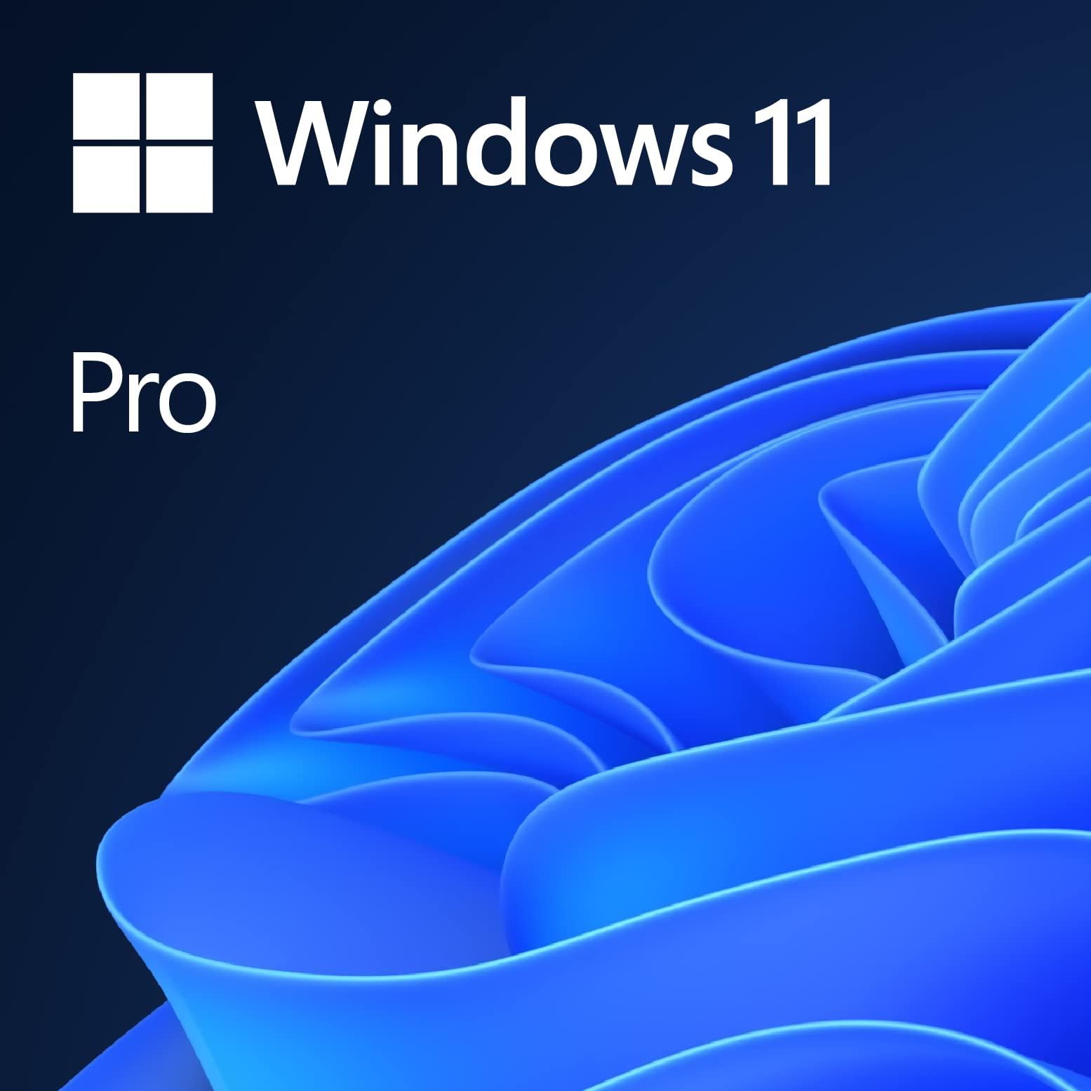 Software Microsoft Windows 11 Pro Oem System Builder