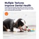 thumbnail image 5 of Juguetes masticables para perros Petstages Orka Mini Dental, paquete de 3, 5 of 9