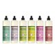 thumbnail image 1 of Jabón para platos Mrs. Meyer's Clean Day, 473 ml, paquete variado, 6 unidades, 1 of 8
