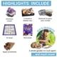 thumbnail image 4 of Kit de actividades DANCING BEAR Rock, Mineral & Geodes con 250 unidades, 4 of 9