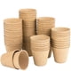 thumbnail image 1 of Vasos de pulpa para plántulas - 50 unidades - Tamaño grande 8 x 8 cm, 1 of 5
