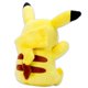 thumbnail image 3 of Juguete de peluche Pokémon Pikachu y Charmander de 20 cm con marcador, 3 of 7