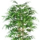 thumbnail image 3 of Planta Decorativa Artificial Bamboo 180 Cms., 3 of 4