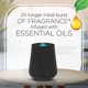 thumbnail image 3 of Air Wick de doble recarga Essential Mist Hofire y aire fresco para otoño, 3 of 6