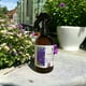 thumbnail image 2 of Home Spray Verbena, 2 of 3