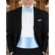 thumbnail image 1 of Faja Formal Corbatin Ajustables Hombre Matrimonio Cummerbund celeste Talla Única, 1 of 4