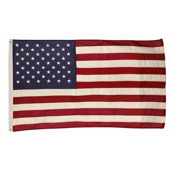 Banner Valley Forge, bandera estadounidense, algodón, 91 x 152 cm
