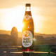 thumbnail image 2 of Bebida Mate Beere Club Mate 1 x 500 ml, 2 of 6