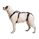 thumbnail image 1 of Arnés para levantamiento de perros Help 'Em Up, soporte para todo el cuerpo, tamaño mediano, 1 of 6