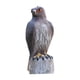 thumbnail image 3 of Estatuilla De Plástico Con Estatua De águila, Librería, Colección De Figuritas De Escritorio, Decoración Artesanal, 3 of 5