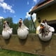 thumbnail image 3 of Lote De 3 Estatuas De Decoración De Clôture De Poulet Amusantes Pour Escaliers De Jardin, Ferme, Terrasse, Arrière-Cour, Artisanat En Résine, Sculpture De Poule De Poulet, Estatua D'extérieur,, 3 of 6