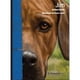 thumbnail image 1 of Libro Jim, 1 of 2