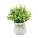 thumbnail image 1 of Pequeñas plantas falsas, plantas artificiales en macetas, mesa decorativa, centro de mesa, adorno de escritorio, plantas de imitación para alféizares Blanco, 1 of 5
