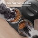 thumbnail image 2 of Dispensador automático de comida para gatos PETLIBRO 5L para dos gatos, 2 of 8
