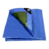 Genérico - Lona Cobertor Multiusos Impermeable 170X150 Cm