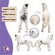 thumbnail image 4 of Figura de caballo de juguete Schleich HORSE CLUB Marwari Stallion 14 cm, 4 of 6