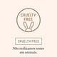 thumbnail image 5 of Crema hidratante BIOSSANCE Squalane and Omega Repair 50 ml, 5 of 6