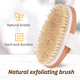 thumbnail image 4 of Cepillo corporal con cepillo seco, cerdas naturales suaves y firmes, cepillo exfoliante corporal, cepillo corporal con cepillo seco para masajes, 4 of 6