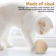 thumbnail image 4 of Uxcell Juguete de Pelota para Gatos, Pelotas Rascadoras Interactivas Naturales para Gatos Juguete de Pelota de Sisal (Sisal, 2 Piezas, 3.9 Pulgadas, Naranja), 4 of 6