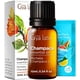thumbnail image 1 of Aceite esencial Gya Labs Champaca, 10 ml, 100% puro y natural, 1 of 6