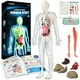 thumbnail image 1 of Modelo anatómico GoBidex, esqueleto de cuerpo humano, 40 piezas, más de 8 años, 1 of 3