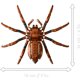 thumbnail image 4 of Bloques de construcción Aragog En El Bosque Prohibido, 4 of 4