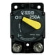 thumbnail image 1 of Disyuntor EGIS 250A Surface Mount 87 Series, 1 of 2