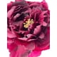 thumbnail image 3 of Peonia Burdeo 45cm Con Acabado Natural, 3 of 3