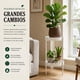 thumbnail image 5 of Porta Macetero Pedestal Para Plantas 2 Niveles Estante M blanco, 5 of 9