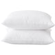 thumbnail image 1 of Pillow BHZ Queen, juego de 2 unidades, plumas de ganso, soporte suave, 1 of 9