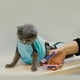 thumbnail image 3 of Bolsa de aseo para gatos Cinf azul con bozal para gatos de 3,5 a 5,5 kg, 3 of 8