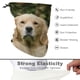 thumbnail image 3 of Braga de Cuello Desmarcar Golden Retriever, 3 of 6