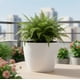 thumbnail image 3 of Macetero Umbra 22 Blanco Set x3 Unidades – Bosco, 3 of 6