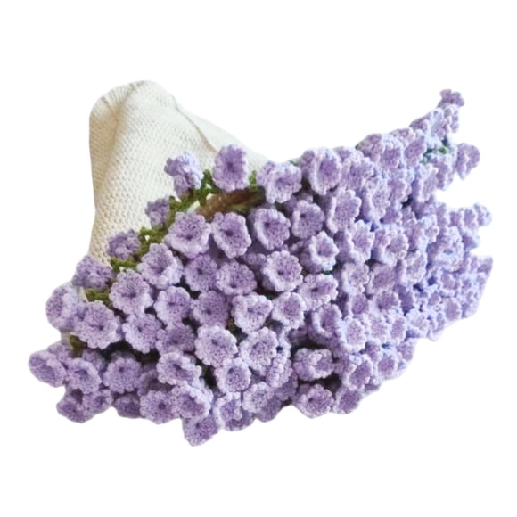 Kit De Crochet Para Hacer Una Manta De Ramo De Decoración DIY Para Principiantes Y Entusiastas De Los Regalos
