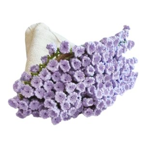 Bothyi - Kit De Crochet Para Hacer Una Manta De Ramo De Decoración Diy Para Principiantes Y Entusiastas De Los Regalos